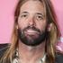 taylor hawkins