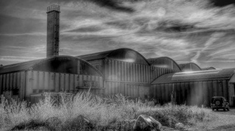 Blaž Erzetič je od leta 1996, ko se je udeležil mednarodnega festivala računalni