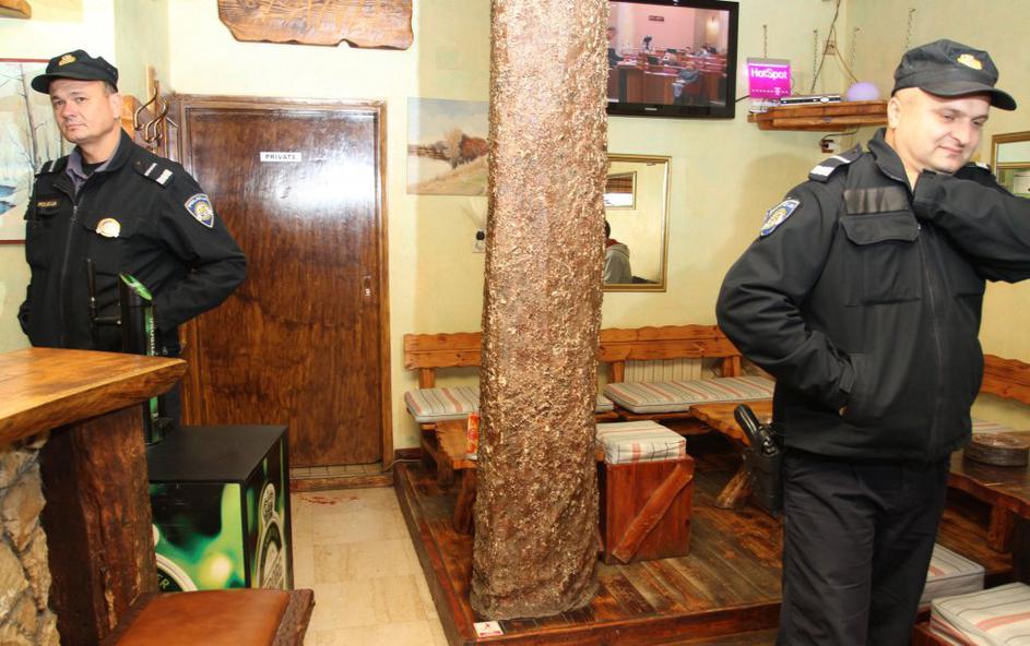 Divje svinje v Karlovcu