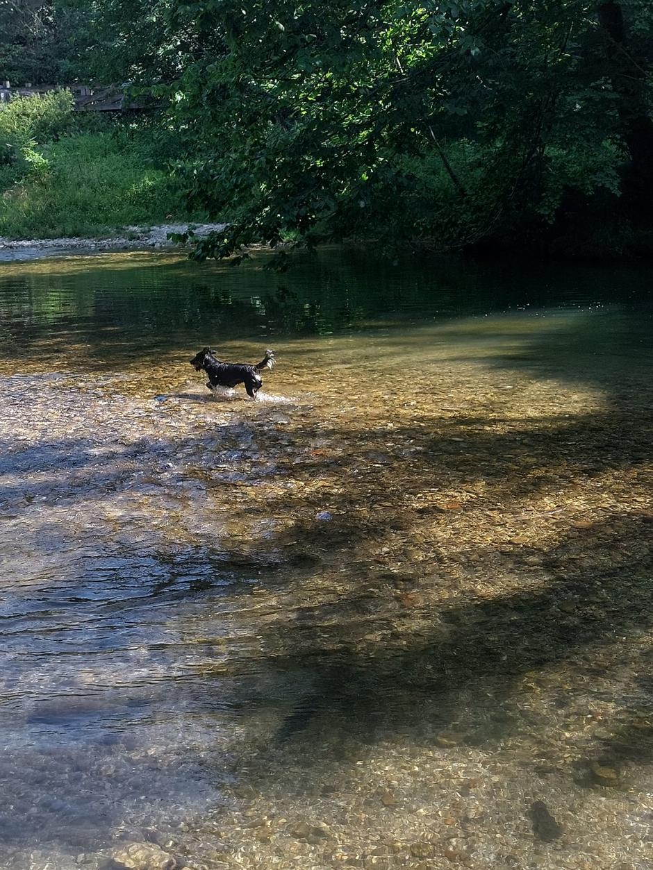 Kanjon Kokre, Kokra, reka, osvežitev v vodi, Kranj | Avtor: M. Ha.