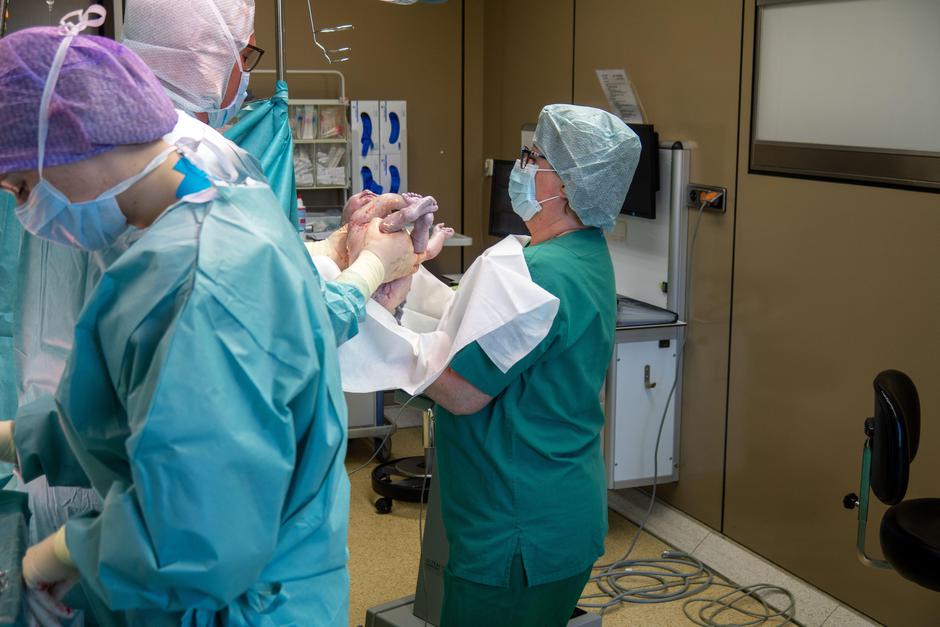 Porod | Avtor: Profimedia