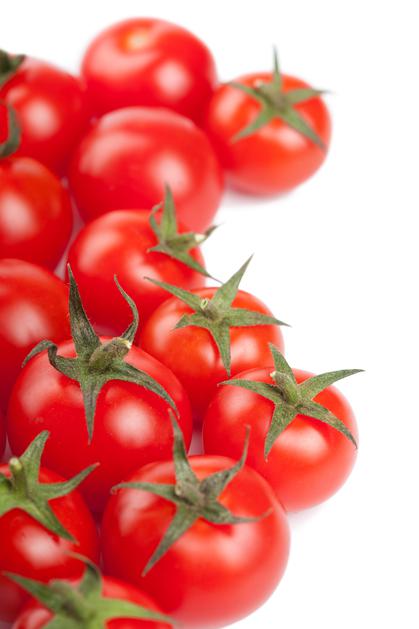 Med mesojedimi vrstami rastlin so tako po novem petunije, okrasne vrste tobaka, 