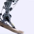 Projekt CYBERLEGs