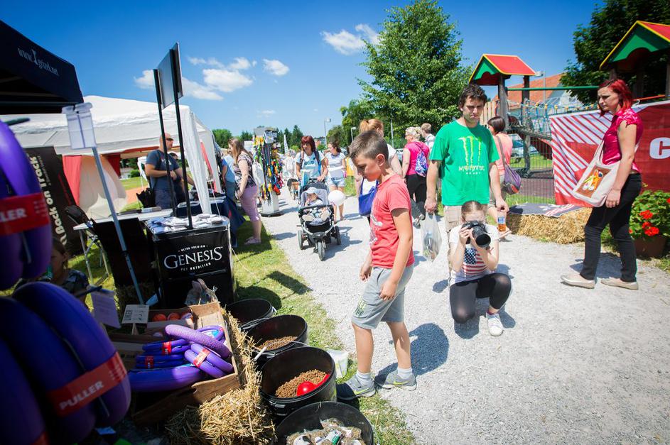 Festival za ljubitelje živali