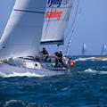 Sydney Hobart Flying Fish Arctos