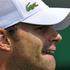 andy roddick, wimbledon