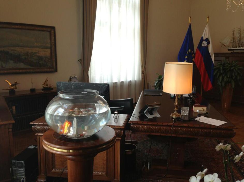 Pahor in zlata ribica