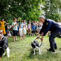 Festival za ljubitelje živali 2026