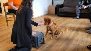 ambasadorji nasmeha terapija s psi