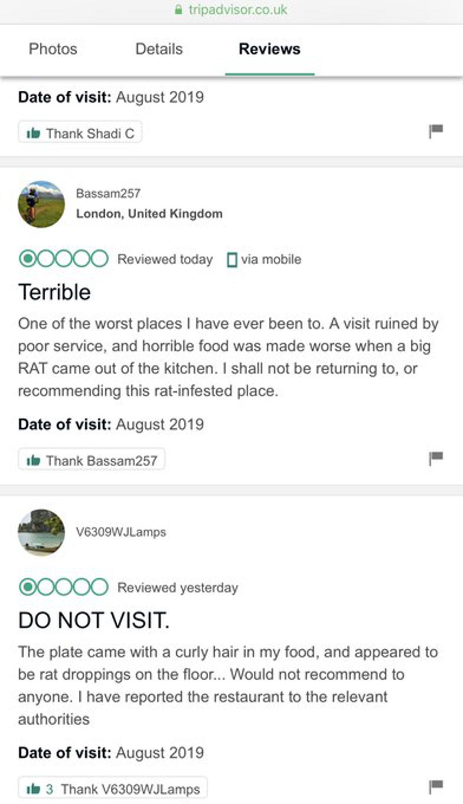 David Luiz TripAdvisor | Avtor: Reševalni pas/Twitter