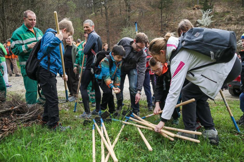 zasarditev dreves | Avtor: Saša Despot