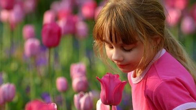 Vrt je idealen prostor za pobeg pred kaotičnim vsakdanjikom.