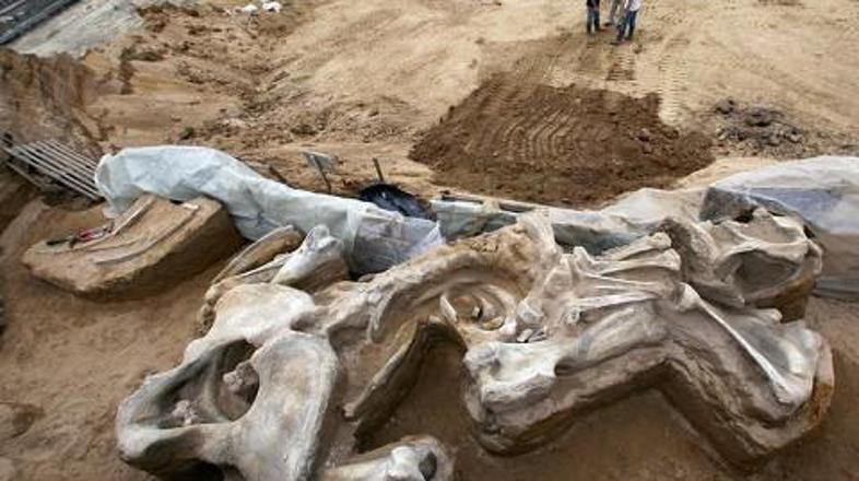 Ogromno okostje mamutinje Vike.