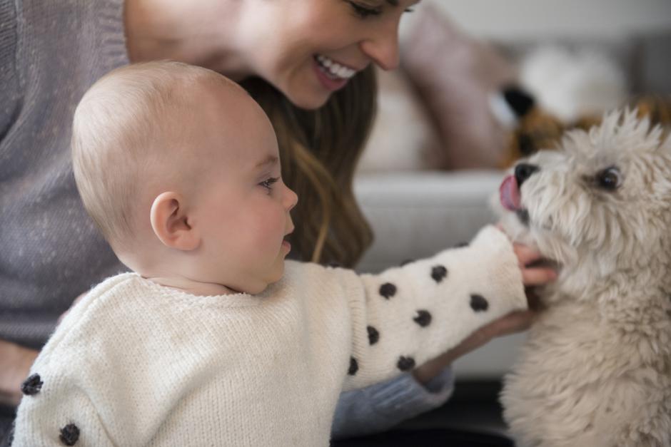 Otroček in mama s psom | Avtor: Profimedia