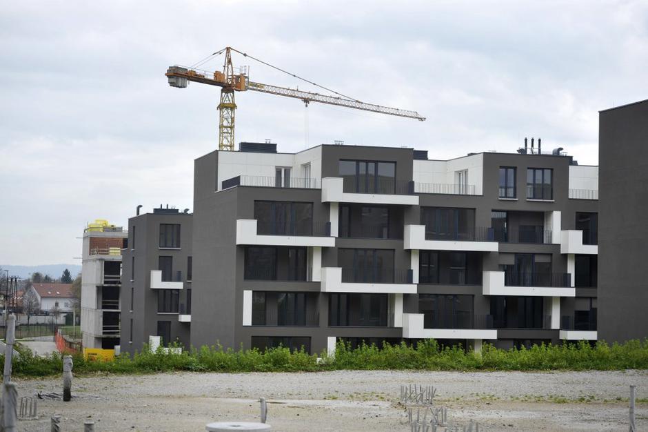 zeleni gaj | Avtor: Anže Petkovšek