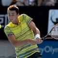 bernard tomic