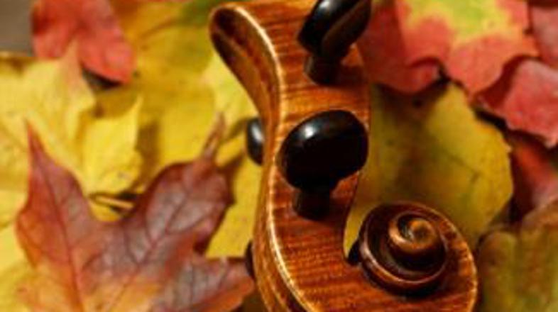 Stradivarko bi branil s kroglami.