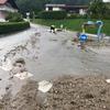Prevalje