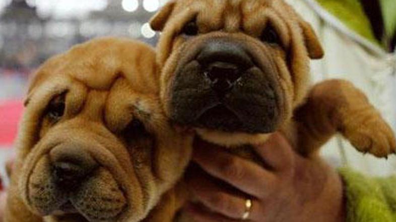 Fotografija je simbolična. (Foto: Reuters)