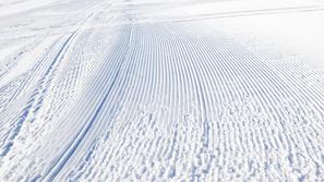 zivljenje 04.12.12. smucanje, smucisce, foto: shutterstock