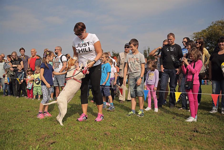 1. sejem za ljubitelje živali | Avtor: Saša Despot