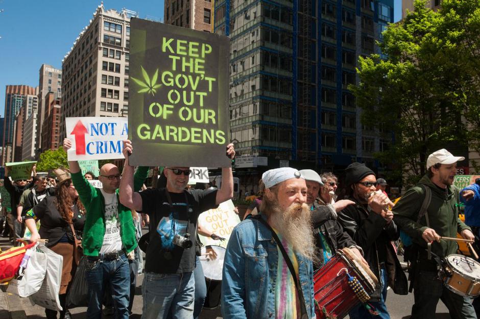 Marihuana legalizacija | Avtor: Profimedias