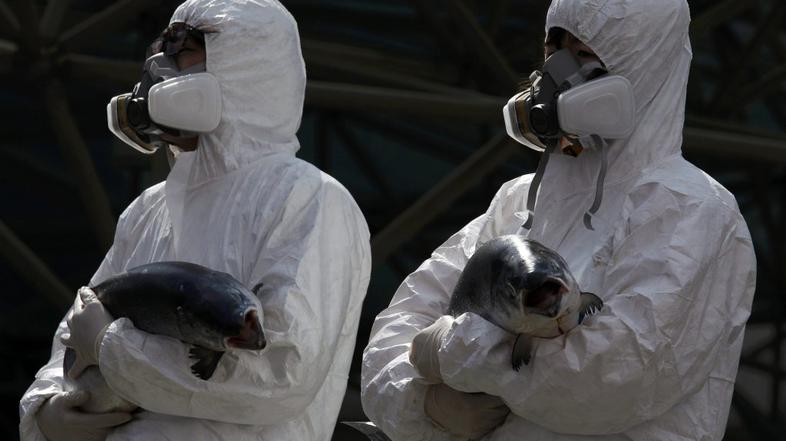 seul, vrh o jedrski varnosti, protesti, protestniki