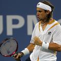 David Ferrer je preprečil finale dveh velikih.