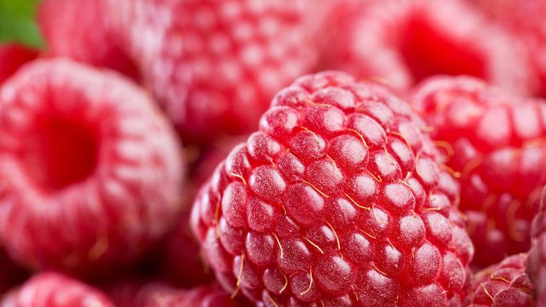 (Foto: Shutterstock)