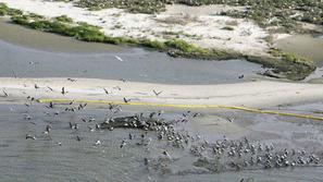 Posledice ne bodo lokalizirane. (Foto: Reuters)