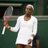 Stephens Wimbledon OP Anglije grand slam