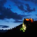 Bled
