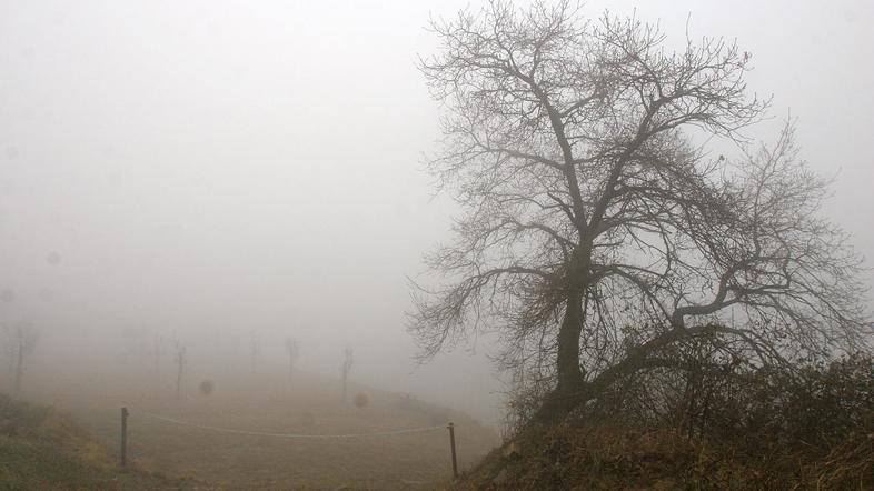 Danes in jutri bo pretežno jasno, zjutraj bo po nekaterih nižinah megla. (Foto: 