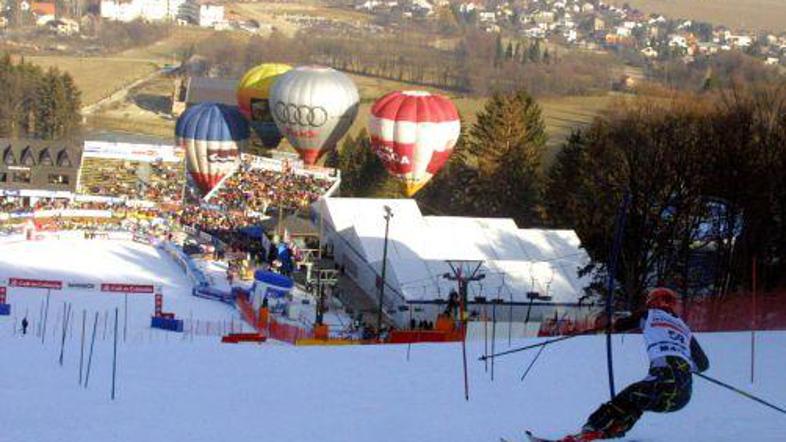 pohorje_zlata_lisica_bobo_01