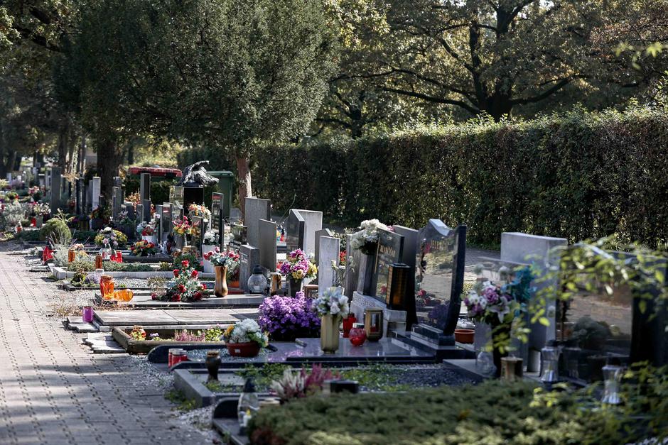 Žale | Avtor: Saša Despot