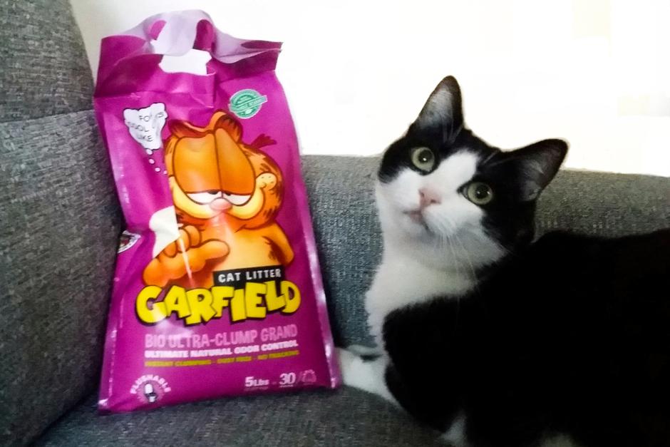 Amy s svojim popolnim posipom | Avtor: Lena Gregorčič