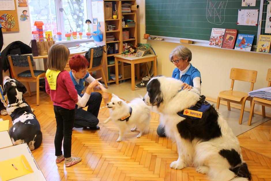 Tačke pomagačke | Avtor: Tačke pomagačke