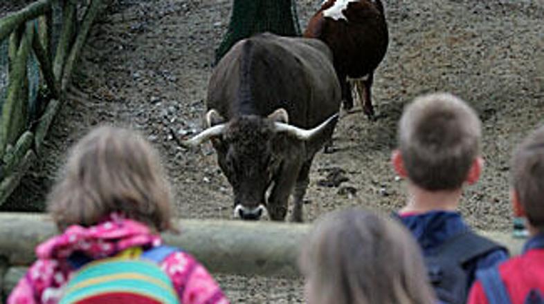 Slepi in slabovidni so imeli svoj dan v živalskem vrtu.