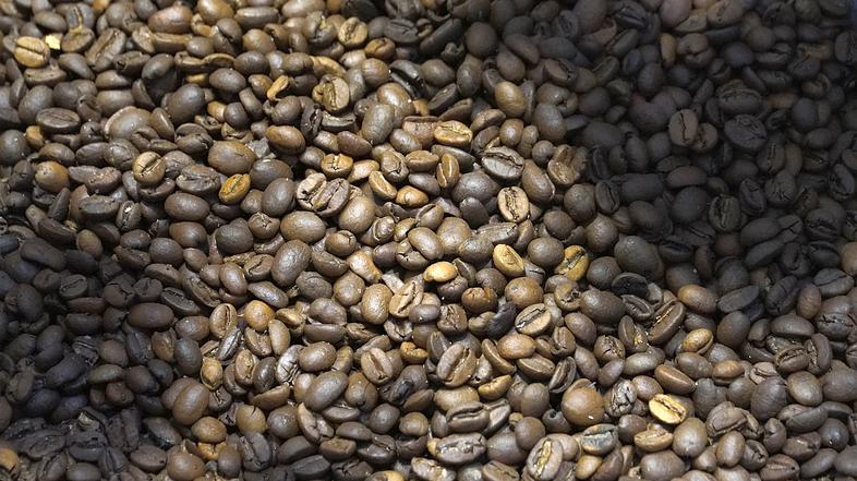 MOL Roastar pražarna kave, Fresh Corner