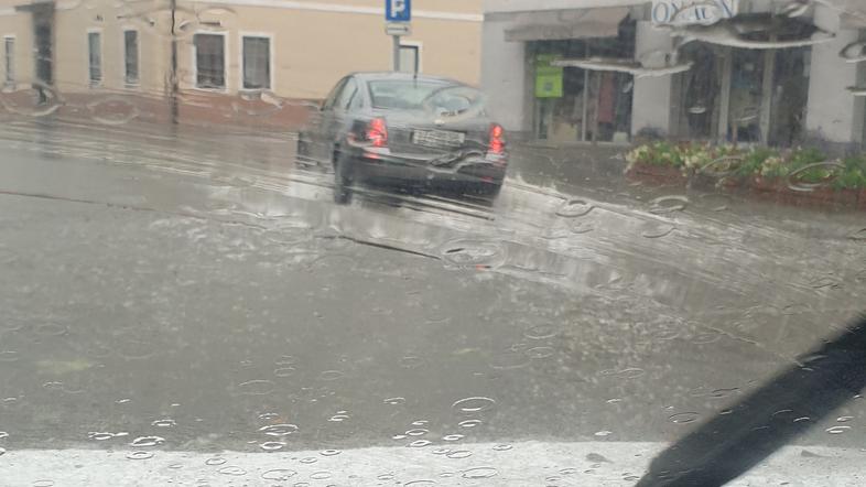 Neurje na Kočevskem