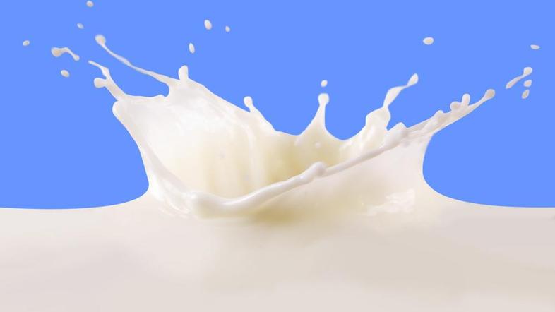 (Foto: Shutterstock)