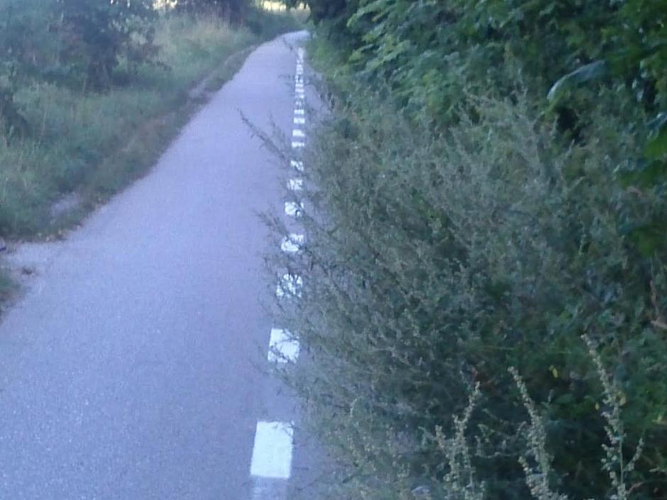 Kolesarska cesta Večna pot | Avtor: Žurnal24 main