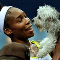 Prvi je po zmagi v rokah Venus Williams pristal njen psiček Harold.