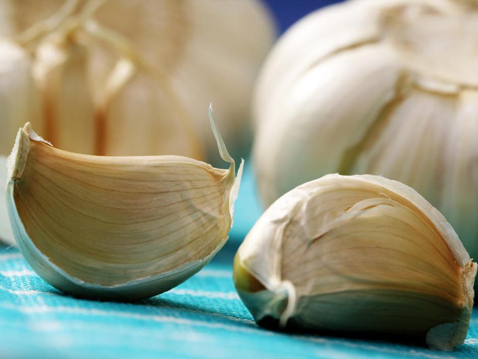 česen | Avtor: Shutterstock