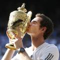 Andy Murray Wimbledon finale