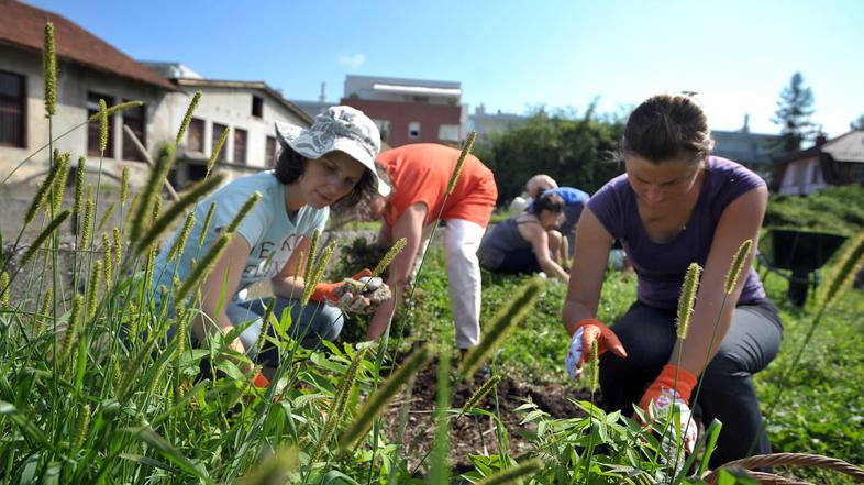 Prostovoljci so pomagali zapornikom urejati zelenice na Povšetovi ulici.