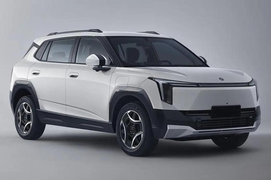 Dongfeng nammi 06 vigo