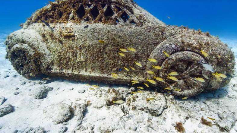 Google Oceans