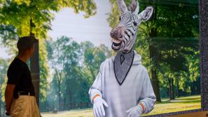 Zavarovalnica Triglav in Vid Zebra