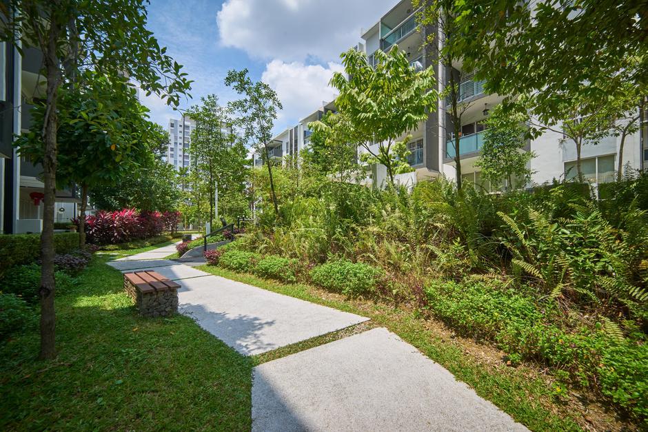 zelena mesta | Avtor: Profimedia